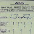 Описание оборонительных боевых действий 2-й танковой армии в Орловско-Курской операции. Схема построения боевого порядка главной группировки немецко-фашистских войск на направлении главного удара 5-8 июля 1943 г. на орловско-курском направлении. ЦАМО.